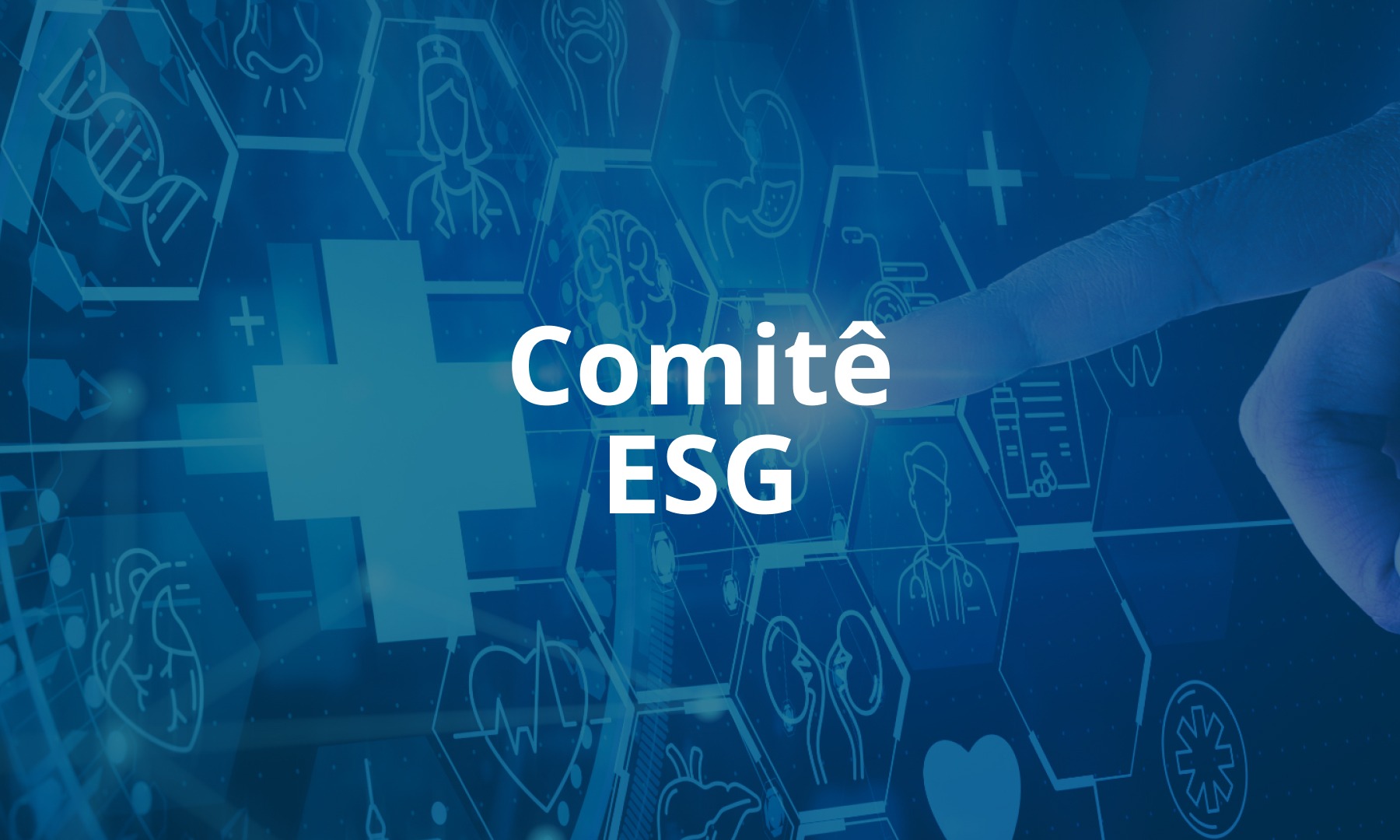 Comitê ESG